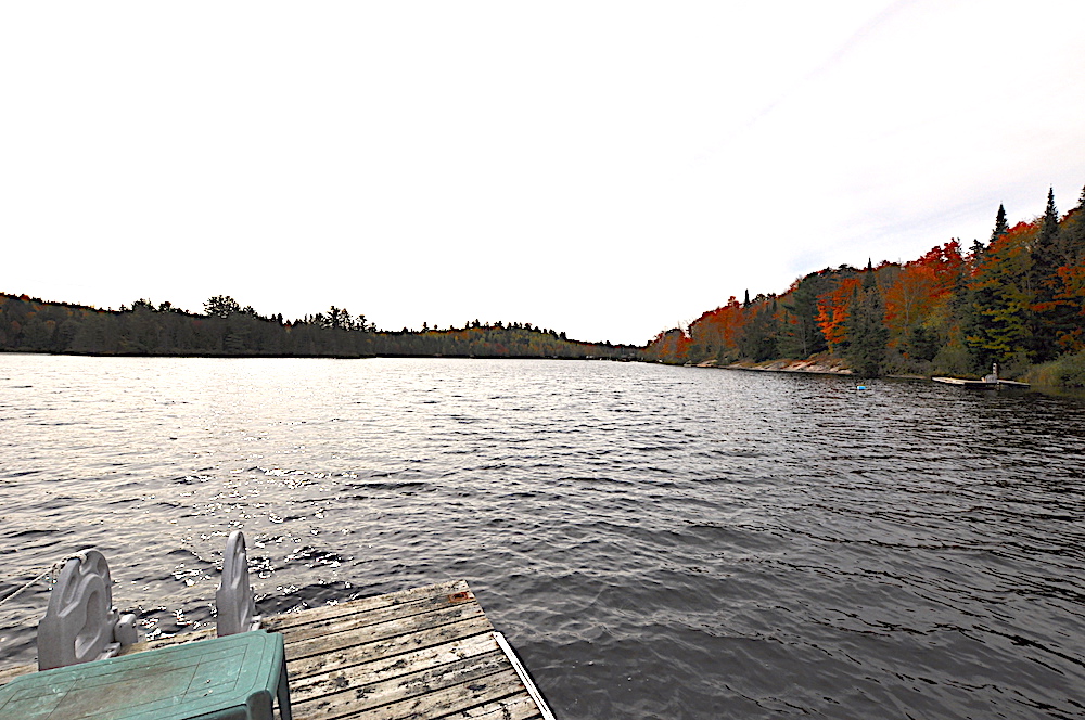 Brady Lake - White Pine Shore - view to the right of the dock