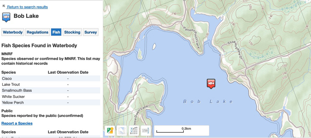 Bob Lake Bob Haven - Fishing information