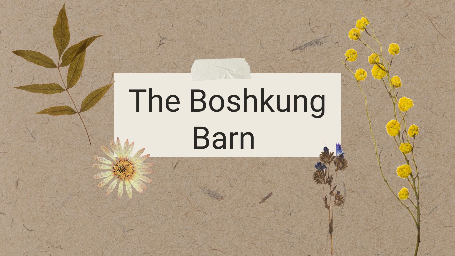 Boshkung Acres - The Boshkung Barn
