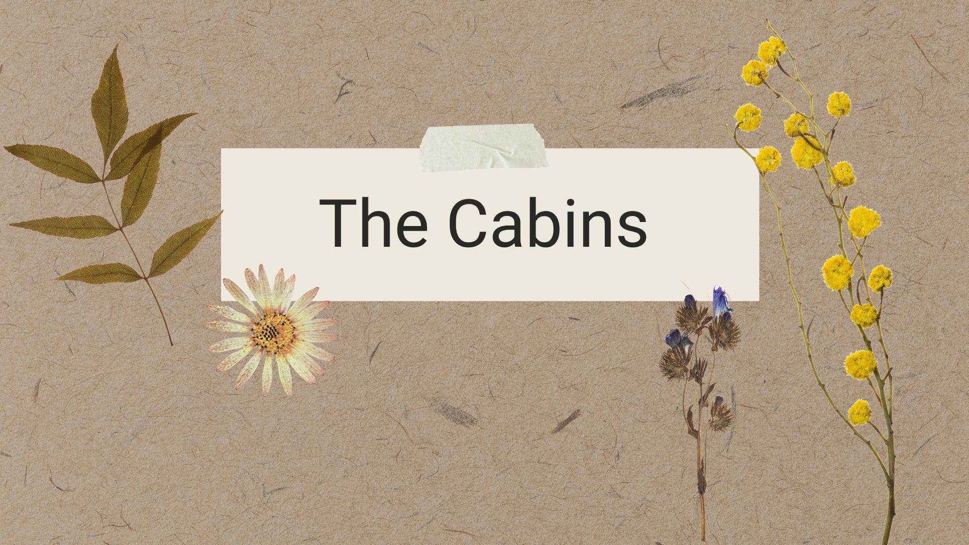 Boshkung Acres - The Cabins