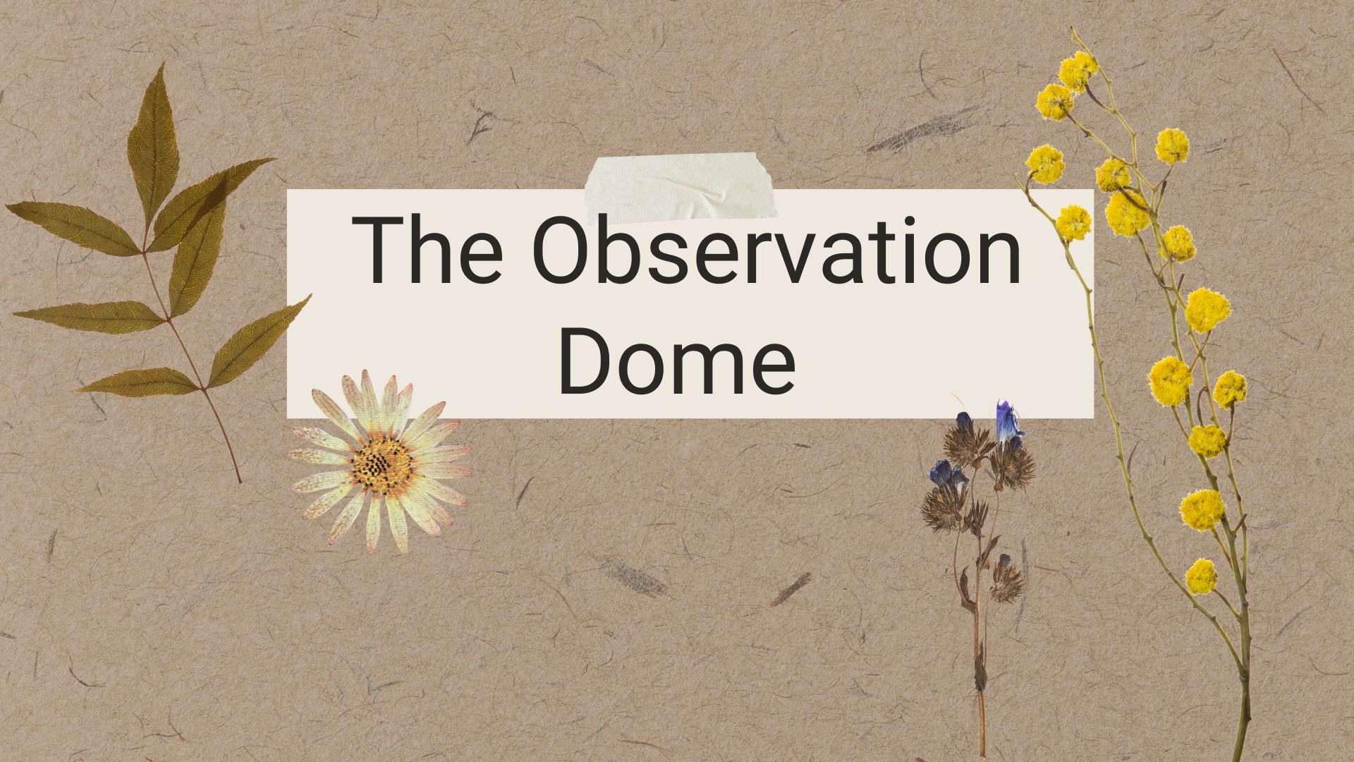 Boshkung Acres - The Observation Dome