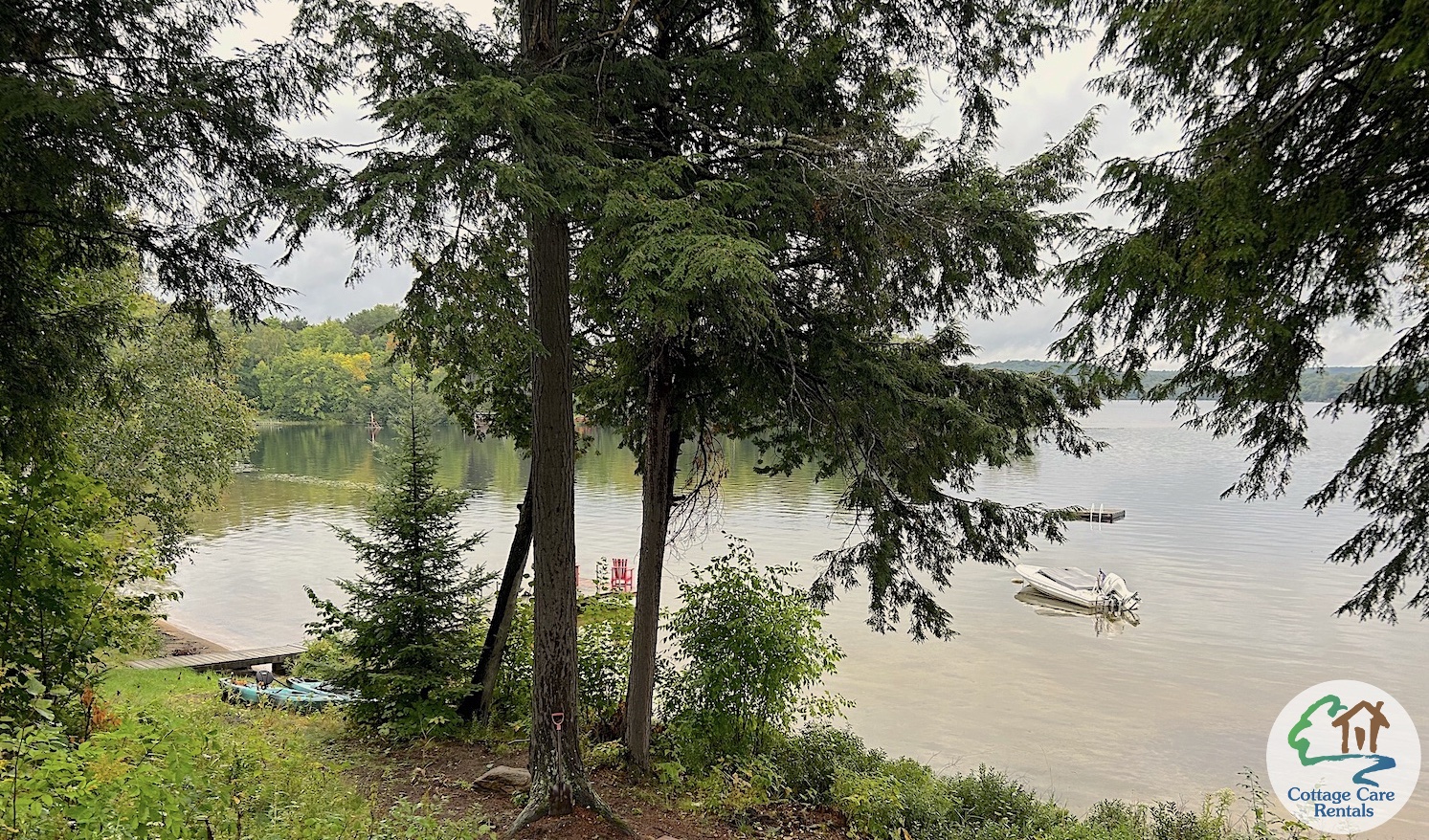 Maple Lake - View to lake