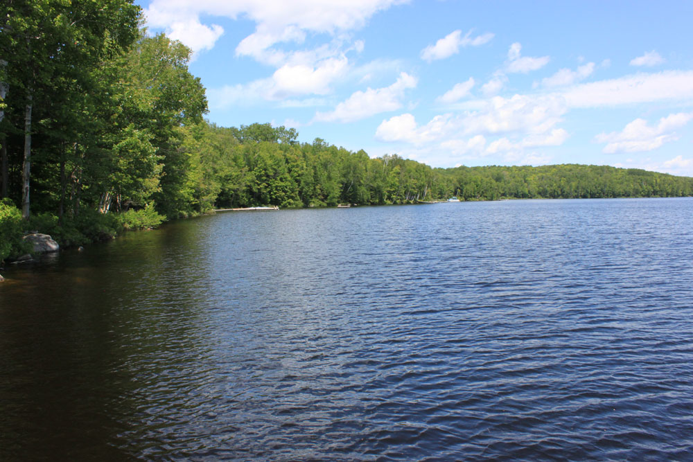 Spruce Lake Tranquility - View-to-the-left-of-the-dock