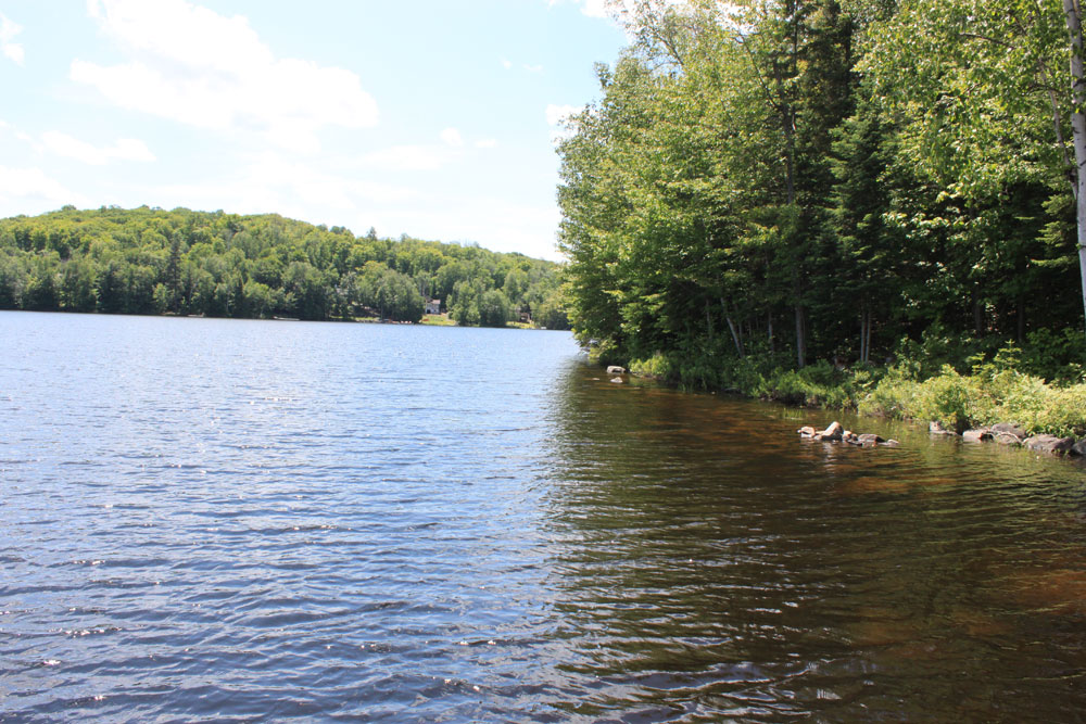 Spruce Lake Tranquility - View-to-the-right-of-the-dock