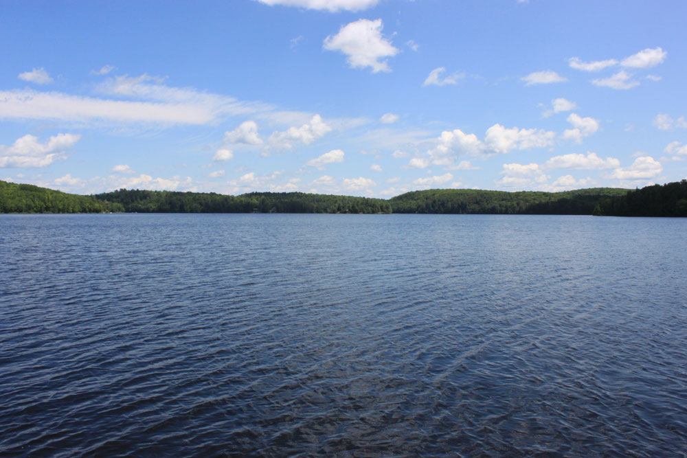 Spruce Lake Tranquility - Spruce-Lake-view-from-the dock
