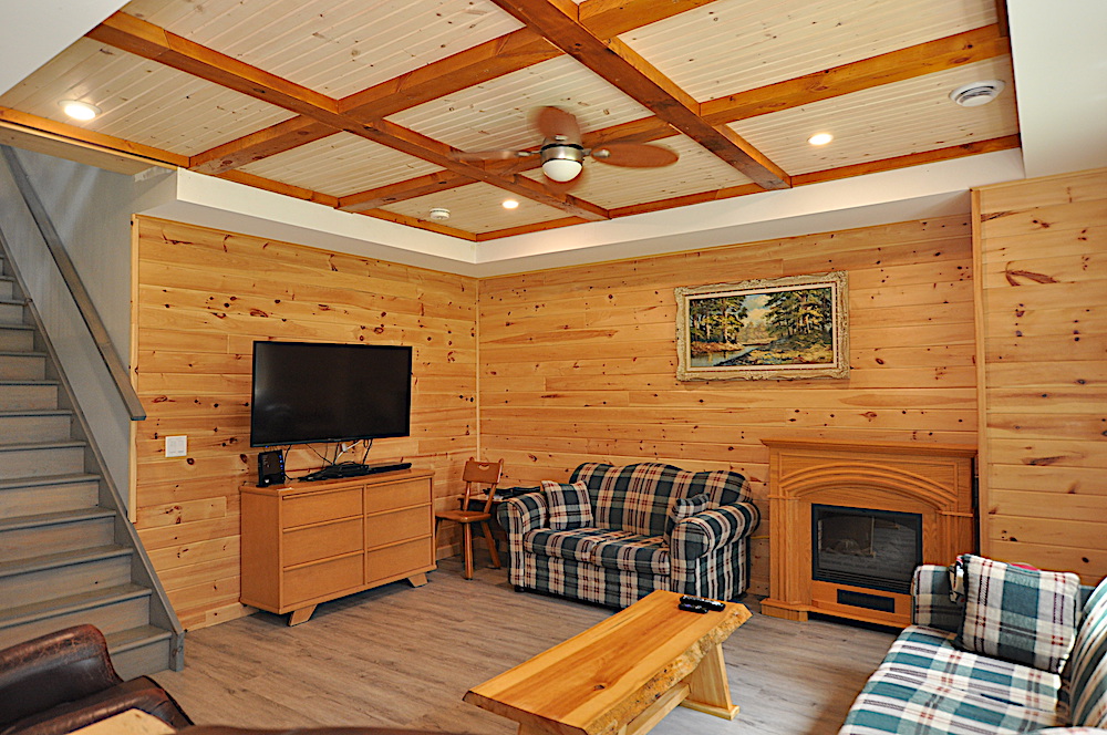 Haliburton Cottage - Kashagawigamog Lake - Flagstone Lodge - Lower level rec room