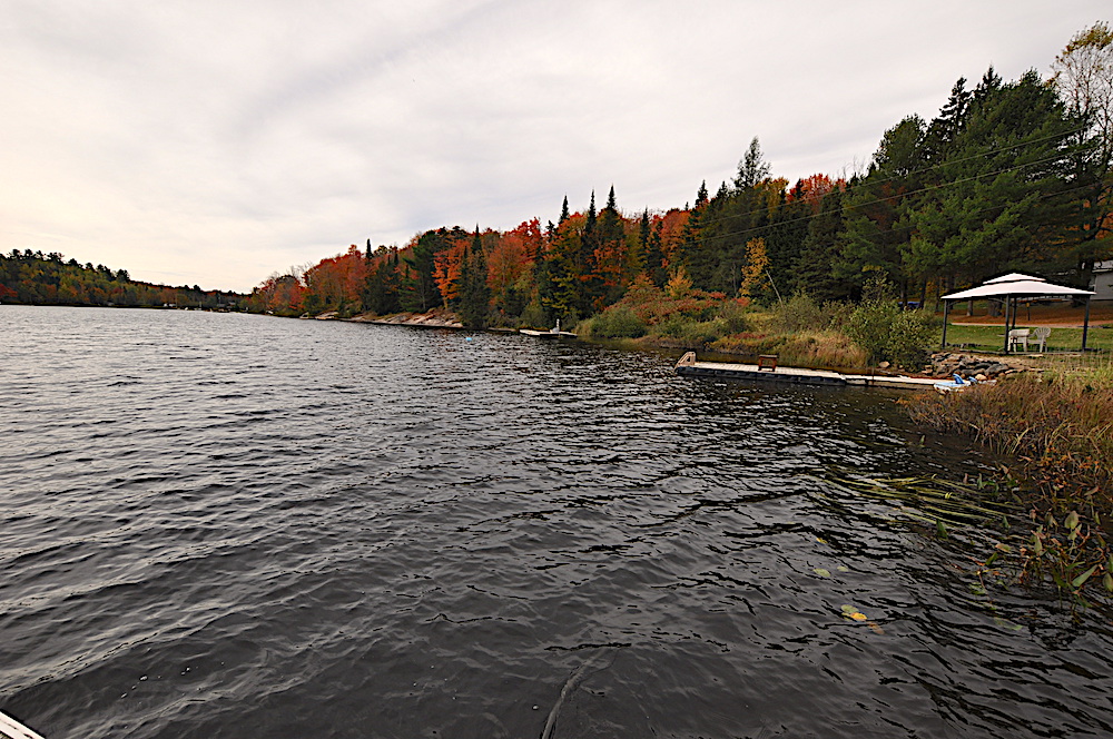 Brady Lake - White Pine Shore - View to the right of the dock