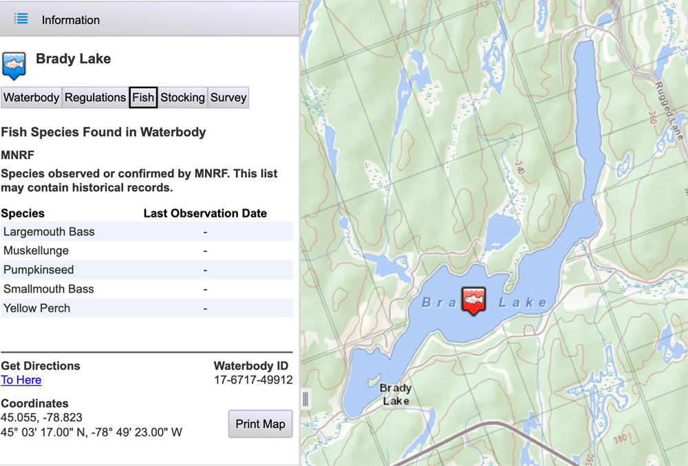 Brady Lake - White Pine Shore - MNR Fishing Map
