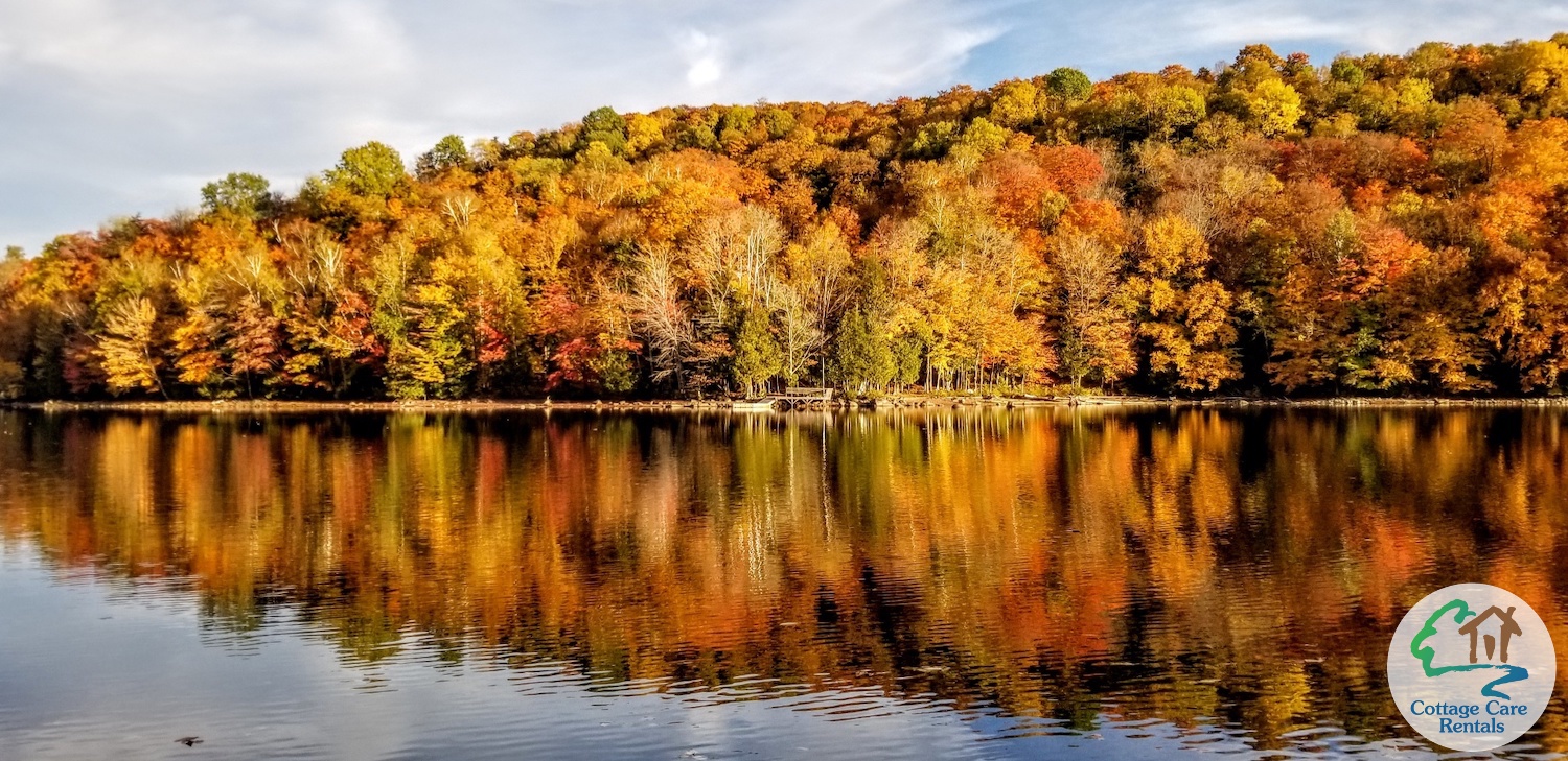 Drag Lake The Treehouse - Fall colour