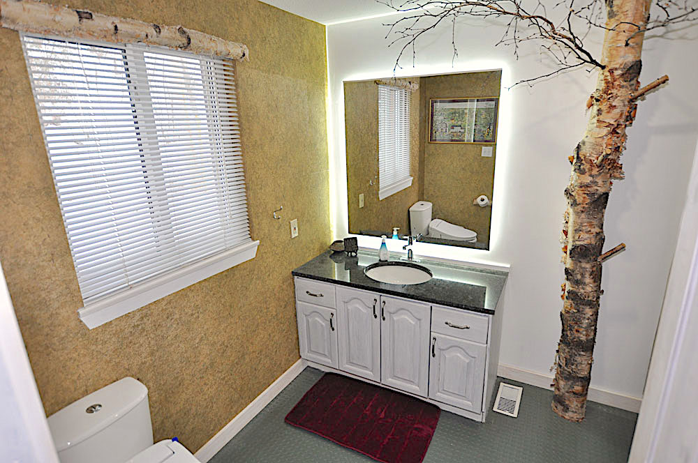Haliburton Cottage - Allen Lake - Grand View-4-pc-bathroom on main level